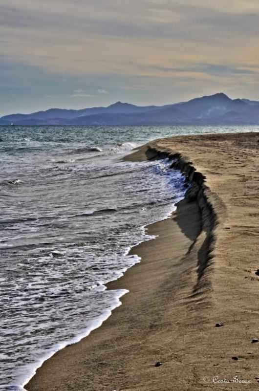 plage.jpg